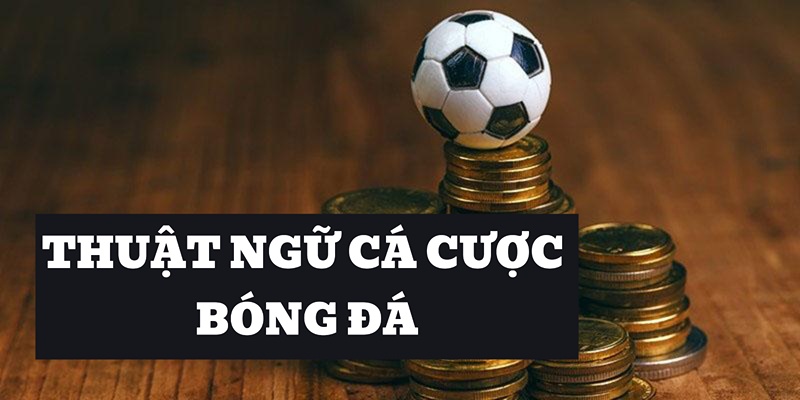 Nắm vững các thuật ngữ sẽ giúp các bạn không bỡ ngỡ với kèo cược