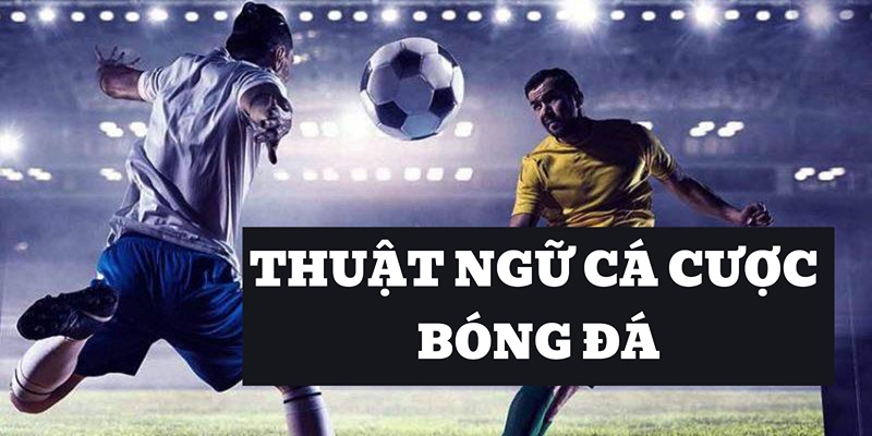 ảnh đại diện thuật ngữ cá cược bóng đá